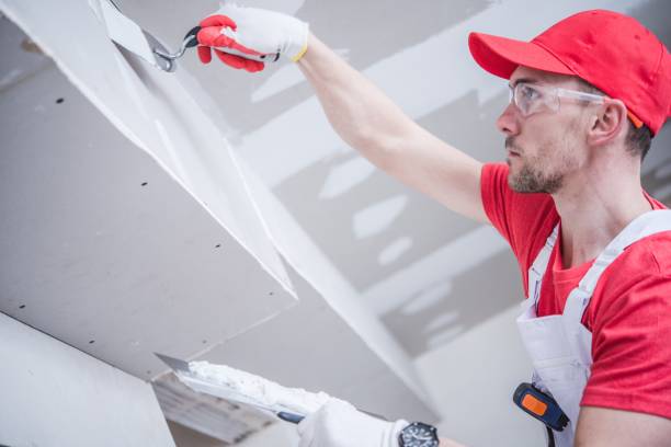 Best Fire-Damaged Drywall Repair  in Grand Bay, AL